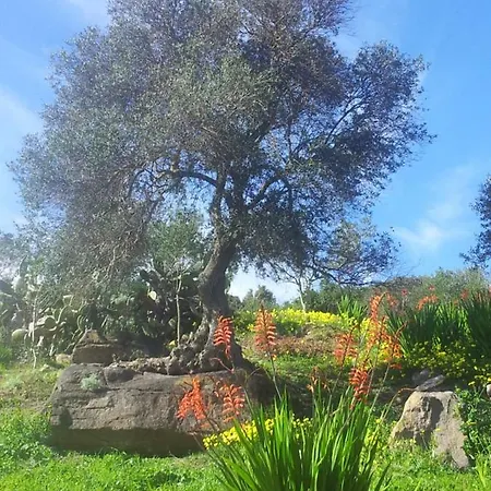 La Casetta Di Merau Сант-Антиоко